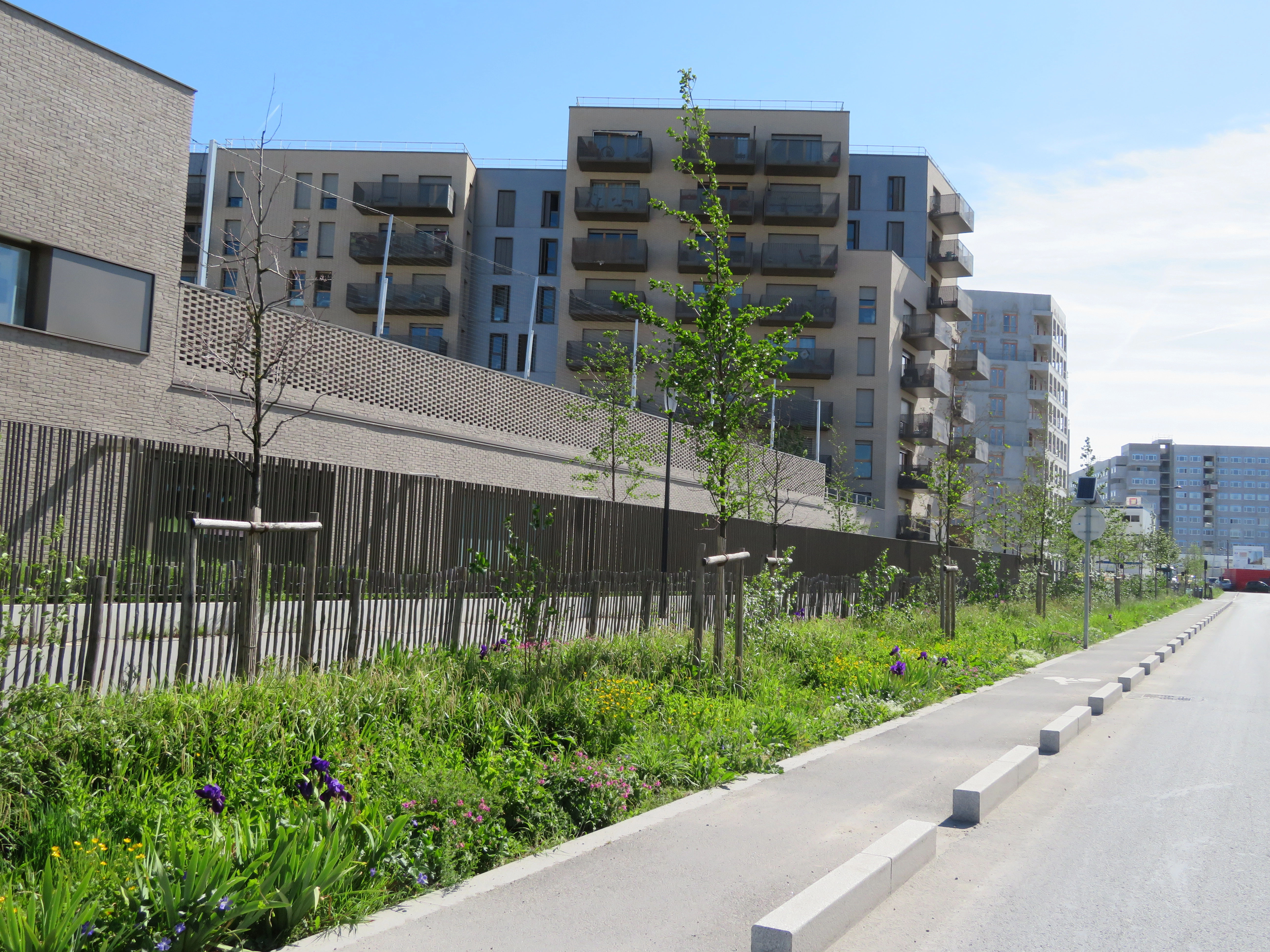 Aménagement écologique de la noue de la ZAC de la Montjoie à Saint-Denis